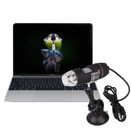 Skadelig komedie det er smukt ModernistGears - 1000x Zoom USB Digital Microscope Camera Compatible With  MAC, PC, Android - Modernist Gears
